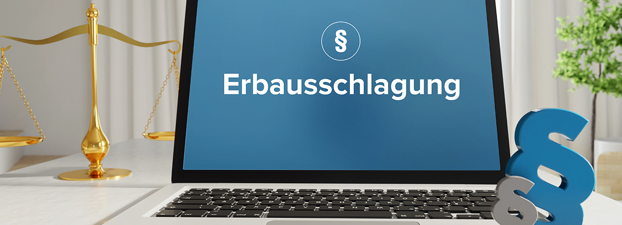 Erbausschlagung lenkende Ausschlagung